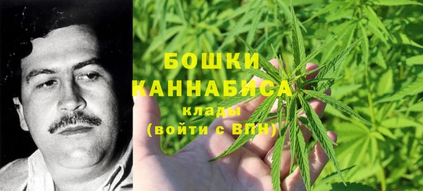 спайс Елизово