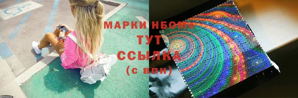 прущие грибы Каменка