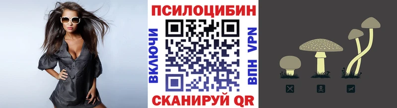как найти закладки  Лесозаводск  Псилоцибиновые грибы Psilocybine cubensis 